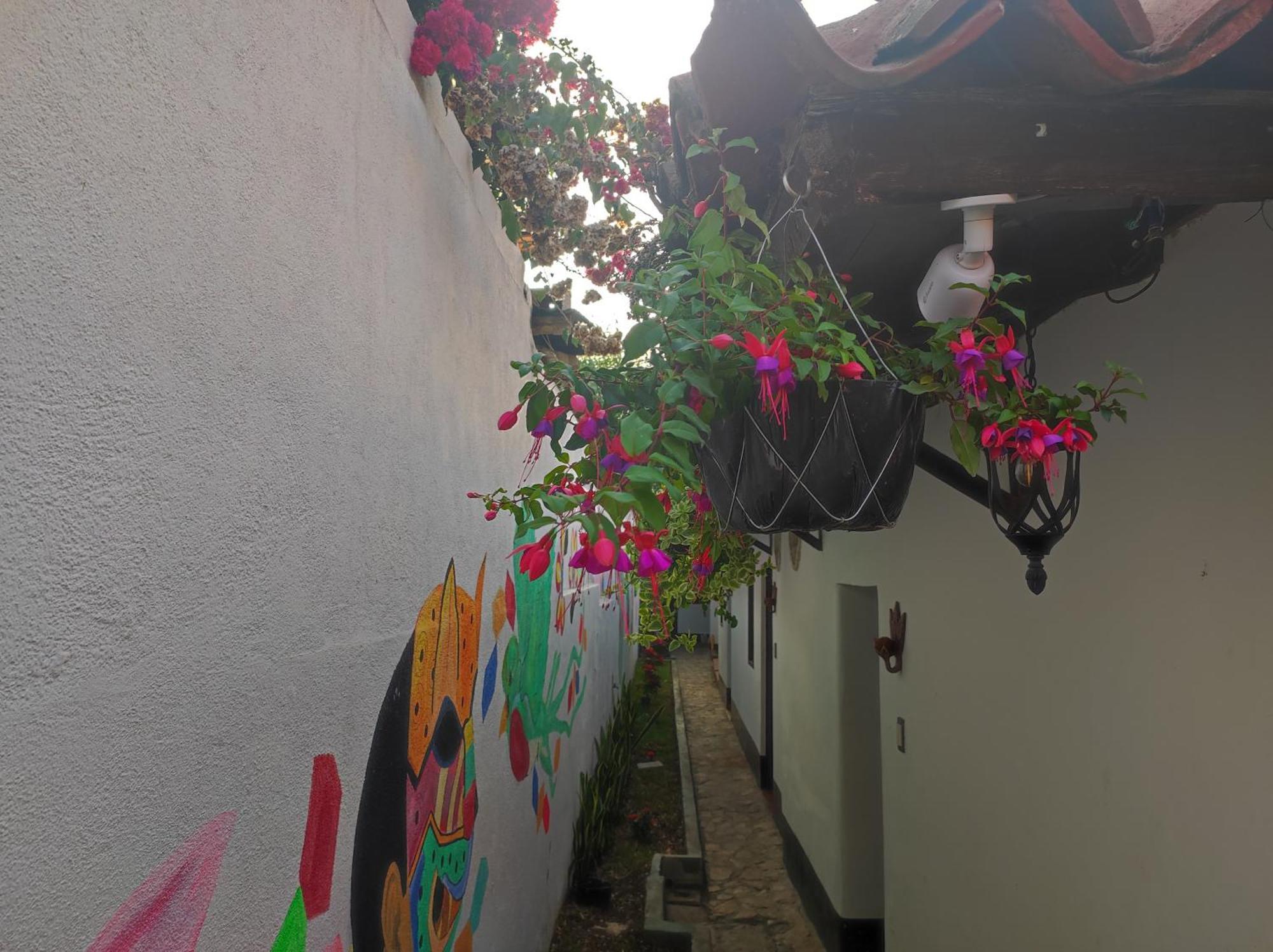 Casa Nikte Hotel Antigua Eksteriør bilde